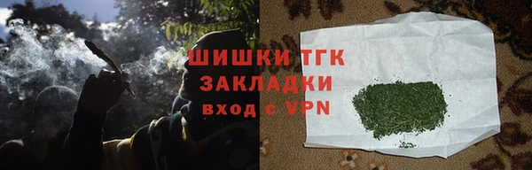 молекула духа Лихославль