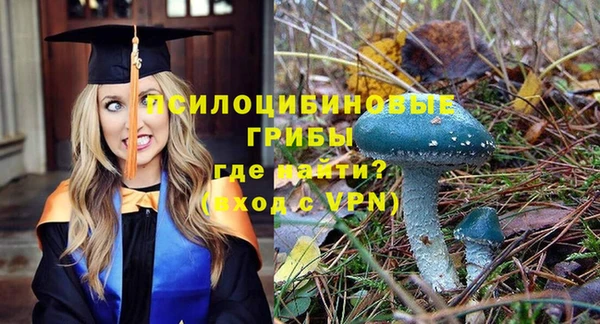 молекула духа Лихославль
