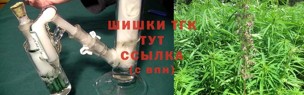 молекула духа Лихославль
